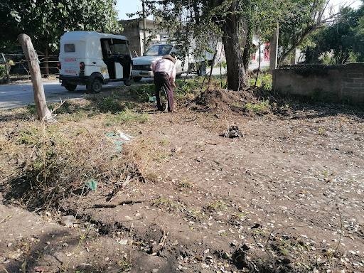Gardin Botánico Yoliztli-Mixtenehuan - Thumbnail