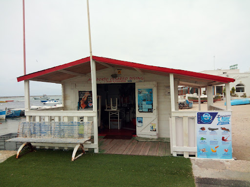 Sasa' sub diving center - Visual
