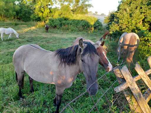 Riding Center - Thumbnail