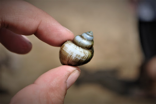 Stone Wall Photography - Thumbnail