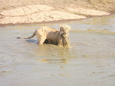 Photos of Ukutula Lodge & Conservation Center