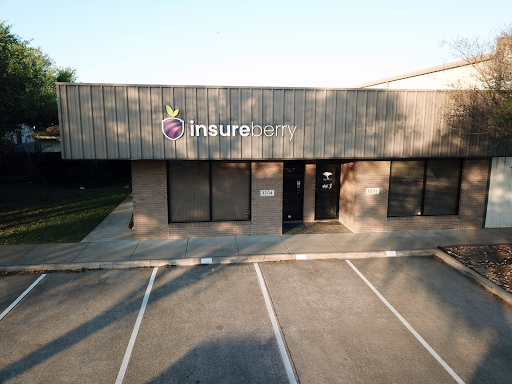 Insureberry - Visual