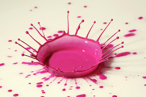 Tracy Giza Design - Thumbnail