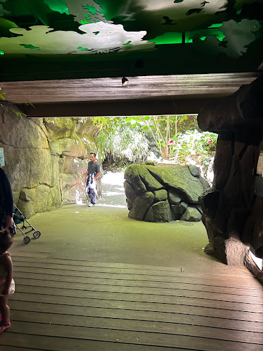 Bats exhibit - Visual