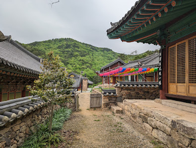 불갑산 상사화 축제 대한민국 전라남도 영광군 불갑면 불갑사로 450 불갑산 상사화 축제