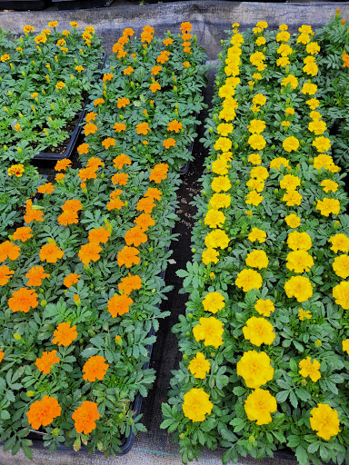 Vests Greenhouse - Thumbnail