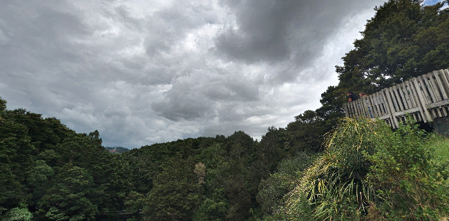 Comments and reviews of Whangarei Falls