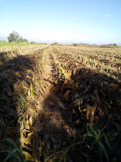 Photos of La Barra