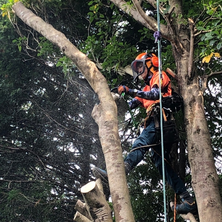 合同会社徳永林業