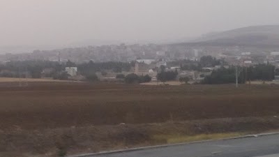 Photos of مشتلة البلدية