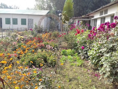 Photos of Cantonment Public School And College
