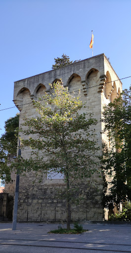 Pine tower square - Visual