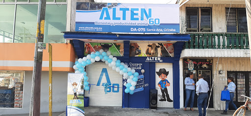 Alten 60