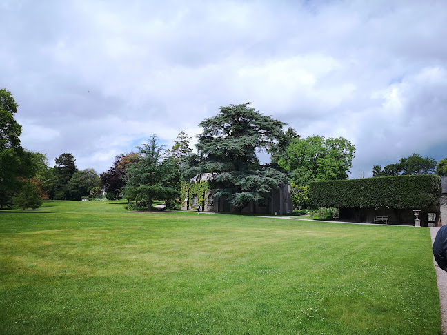 Opinii despre Saltram House Car Park în Plymouth - Parking garage