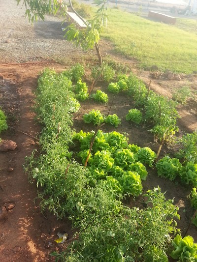 Photos of Blue Zone From Dosso