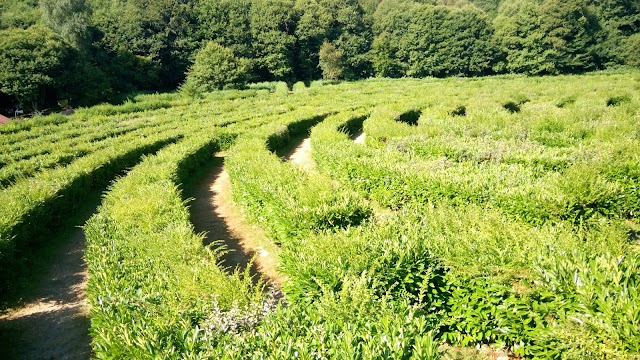 Labyrinthe Geant des Monts de Gueret