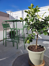 Photo n°4 de Les Petits Plats d'Amélie à Vaux-sur-Mer (Restaurant)