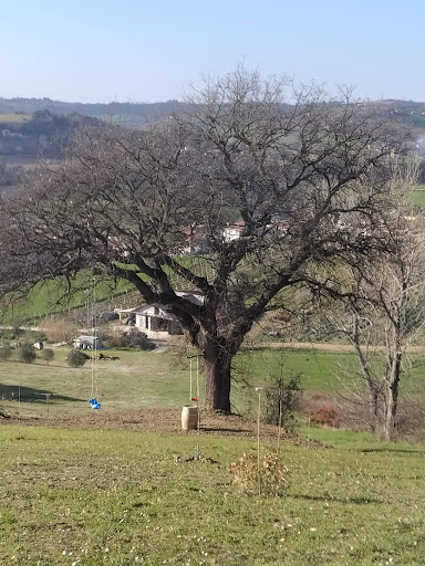 Hoppípolla - Visual