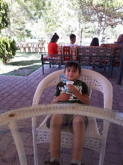 cafe