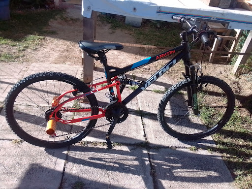 Taller de bicicletas sillas de ruedas daffy WB Logo