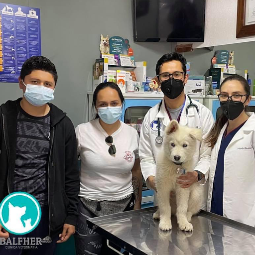 Clínica Veterinaria BALFHER