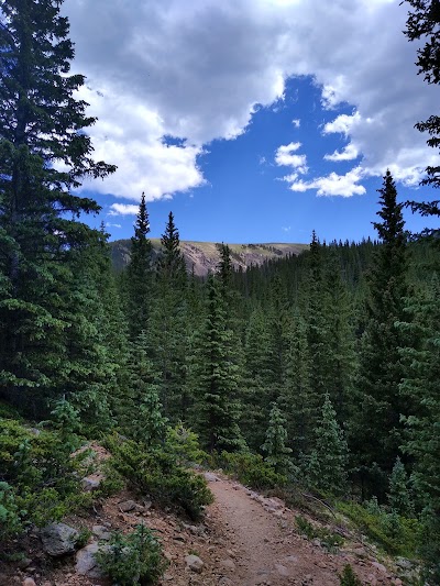 Aspen Basin Campground