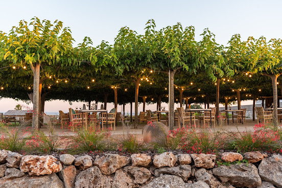 Hotel Agroturismo Llucasaldent Gran -Adults Only by null