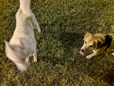 Hawaiʻi Kai Dog Park