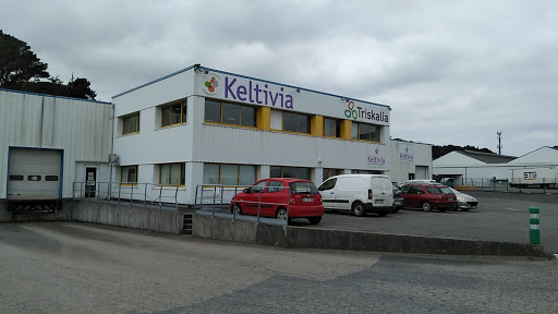 Keltivia - Visual