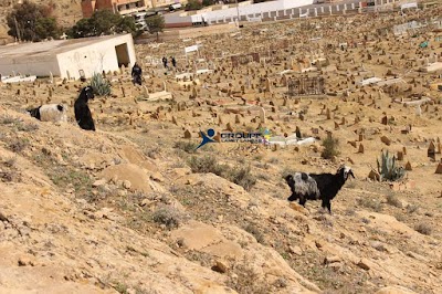 Photos of مقبرة بن علية