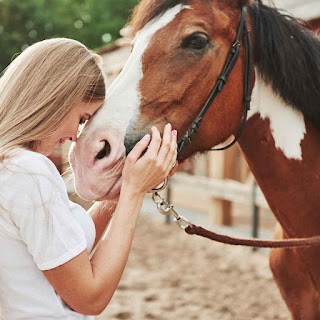 Just Horse Riders