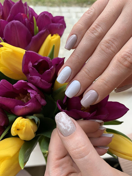 Крістель Львів - вид ззовні