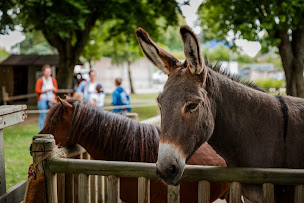 Photo n°2 de Pôle Hippique de Saint-Lô à Saint-Lô (Complexe sportif)