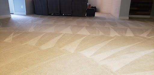Paragon Carpet Care - Thumbnail