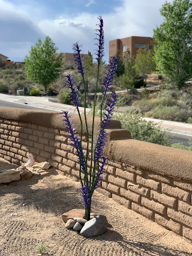 Desert Blooms - Thumbnail