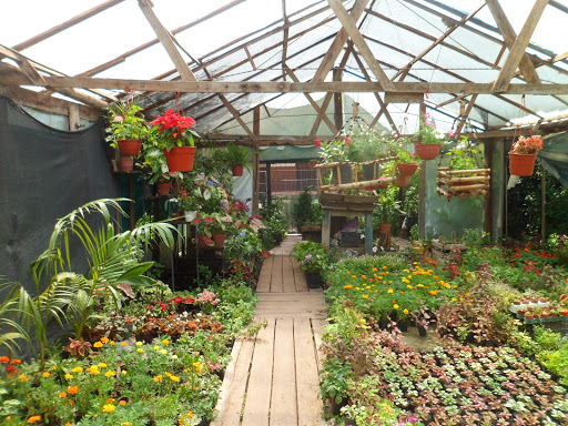 Vivero Colugnatti - Foto 1