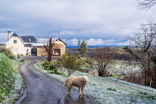 Photo n°12 de Pesaulhe à Monein (Chambre d'hôtes)