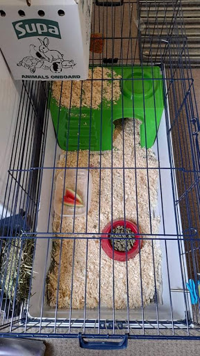 Paradise Pets Ltd