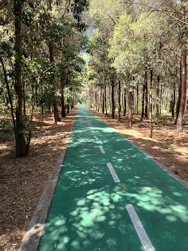 Pista Ciclabile San Salvo-Vasto - Thumbnail