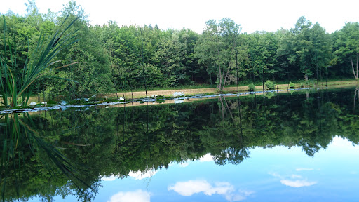 Hasselbach - Visual
