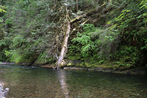 Blue Pool Campground - Visual