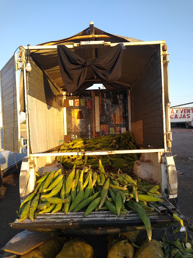 Elotes Anaya - Visual