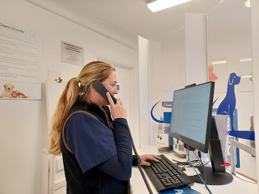Midhurst Vets - Visual