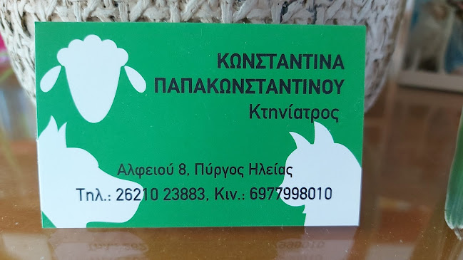 ΠΑΠΑΚΩΝΣΤΑΝΤΙΝΟΥ ΚΩΝΣΤΑΝΤΙΝΑ