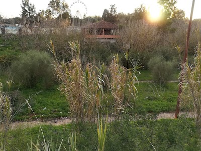 Photos of Ben Aknoun garden