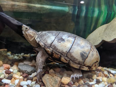 Long Branch Nature Center & Park