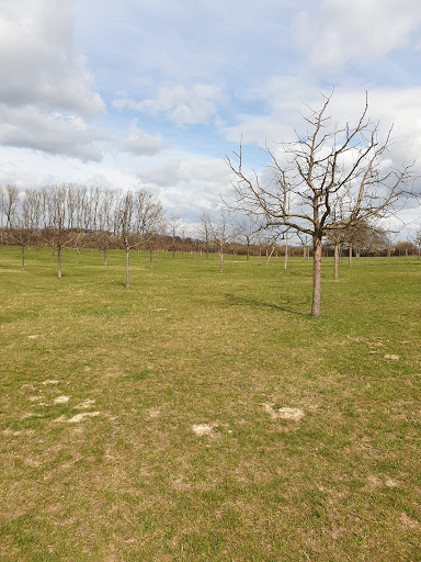 Friedhof Spork-Eichholz - Thumbnail