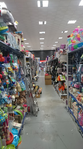 Asiamarkt - Thumbnail