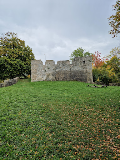 Sulzburg Castle - Thumbnail