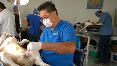 Photos of Vet For Pets